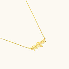 Hindi Name Necklace